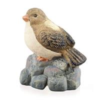 Vták na kameni